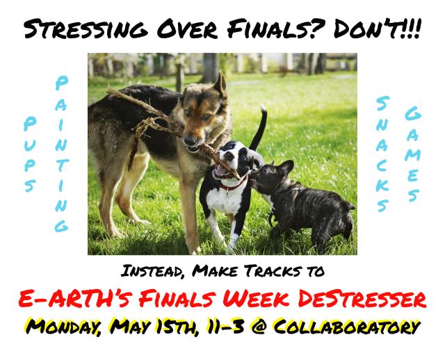 graphic advertising finals week destresser with 3 pups wrestling for a stick